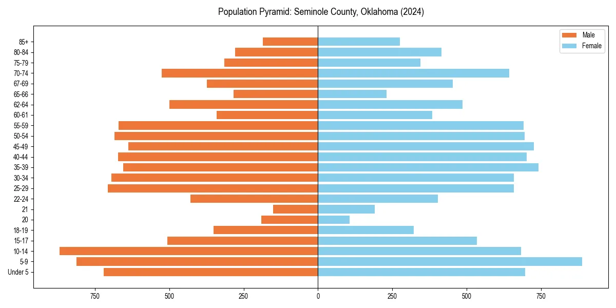 Population pyramid for 