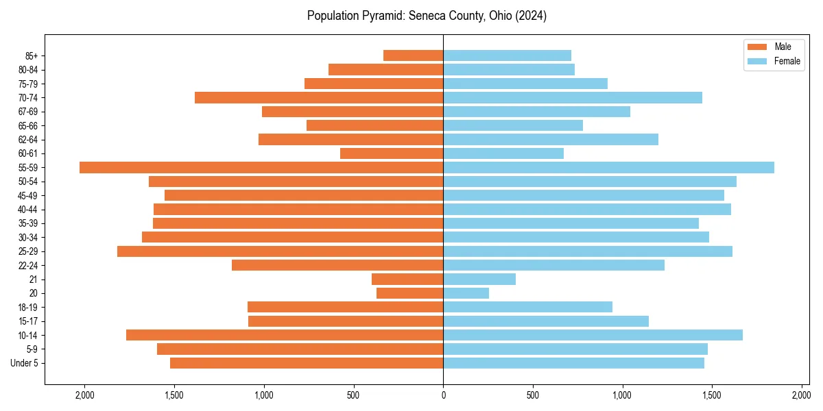 Population pyramid for 