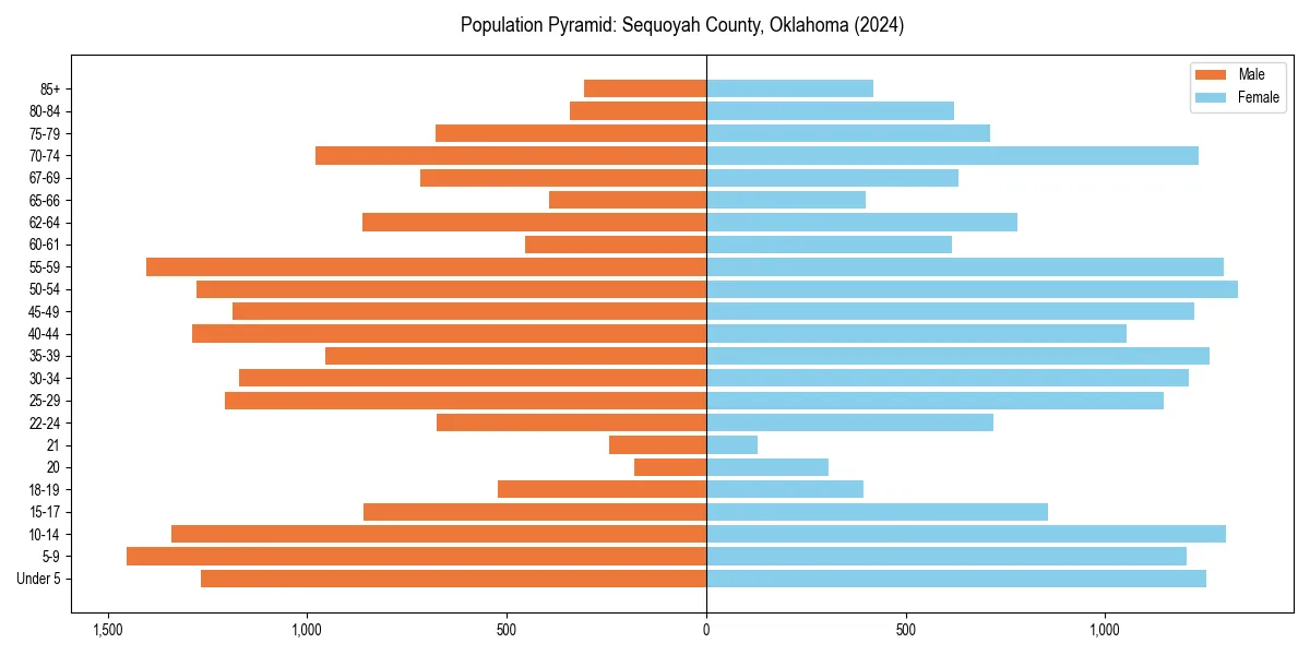 Population pyramid for 