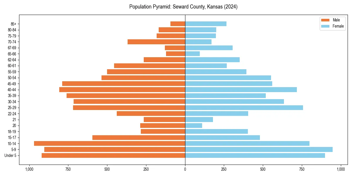 Population pyramid for 
