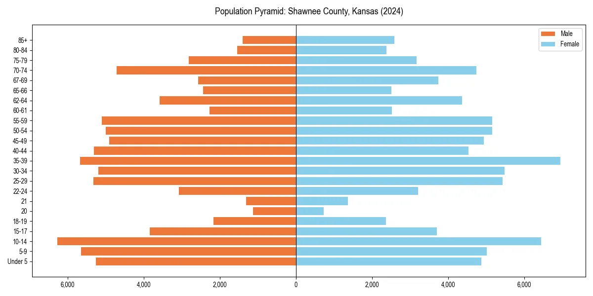 Population pyramid for 