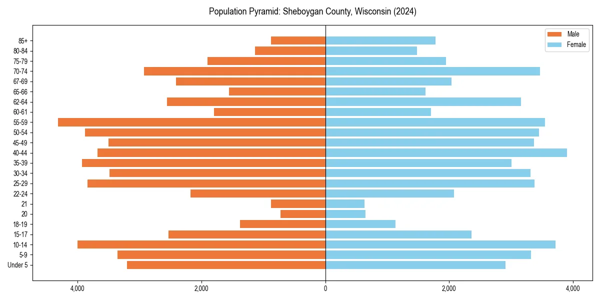 Population pyramid for 