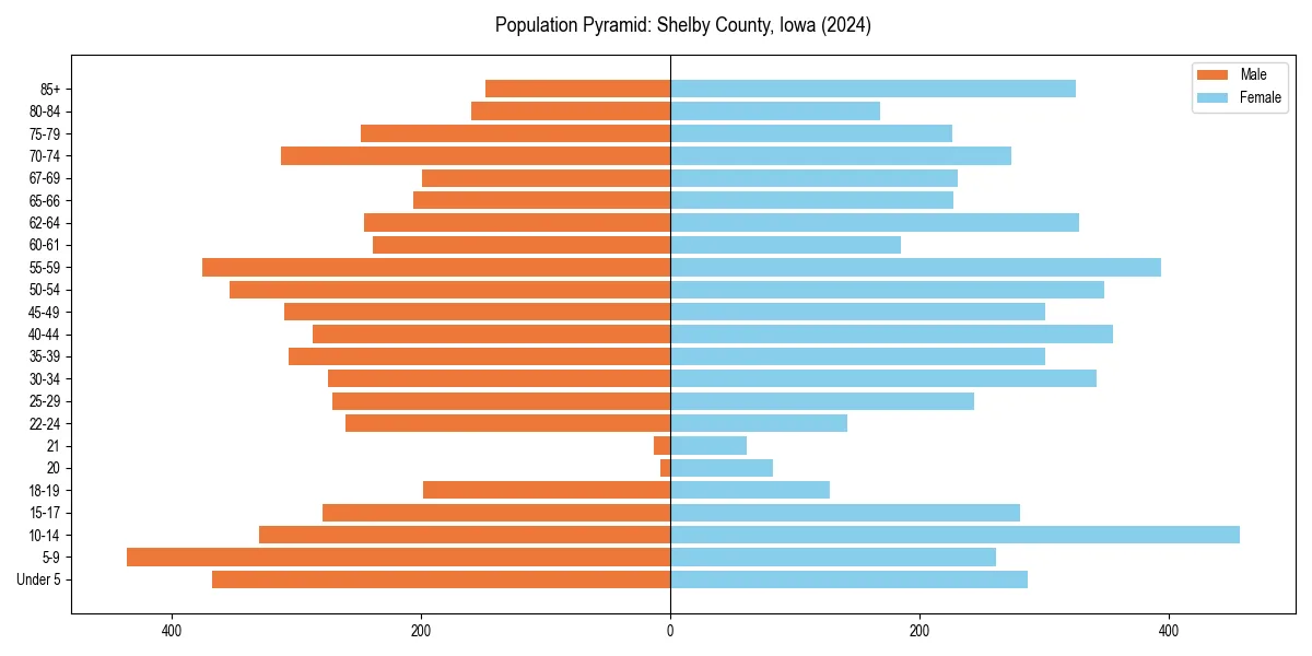 Population pyramid for 