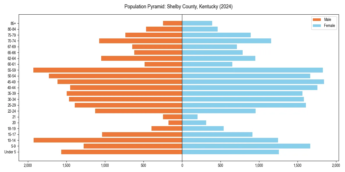 Population pyramid for 