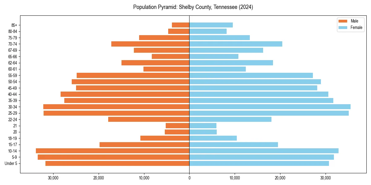 Population pyramid for 