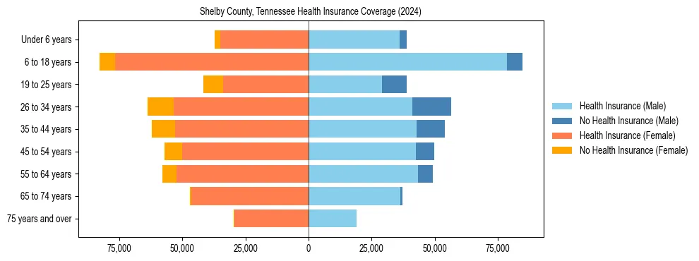 Health insurance pyramid for Shelby County, Tennessee