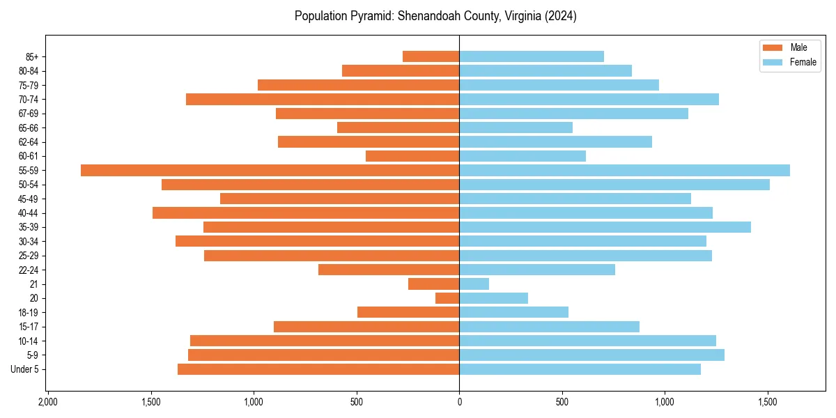 Population pyramid for 