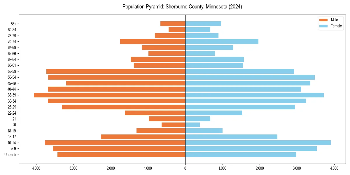 Population pyramid for 