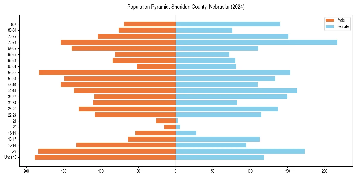 Population pyramid for 