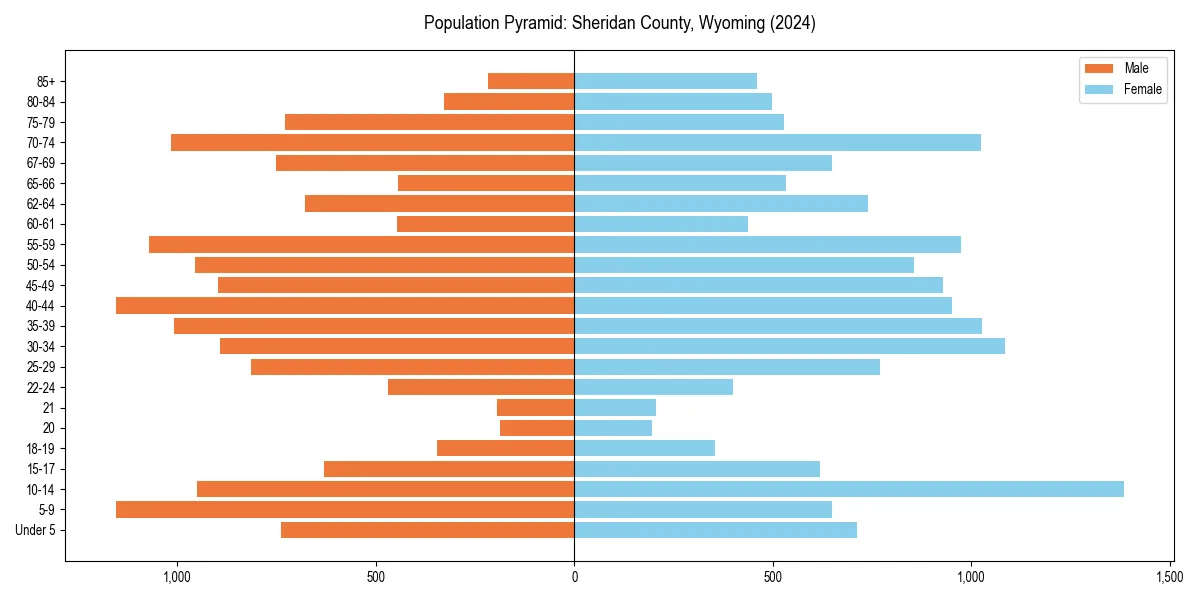 Population pyramid for 