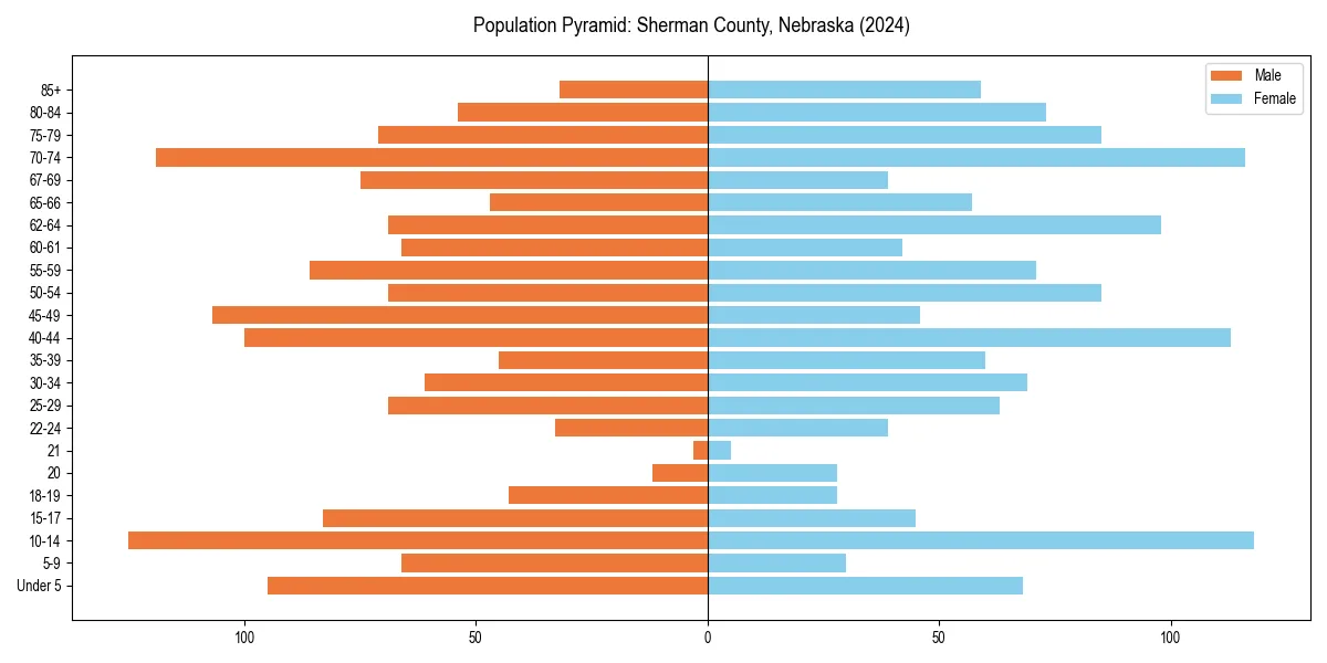 Population pyramid for 