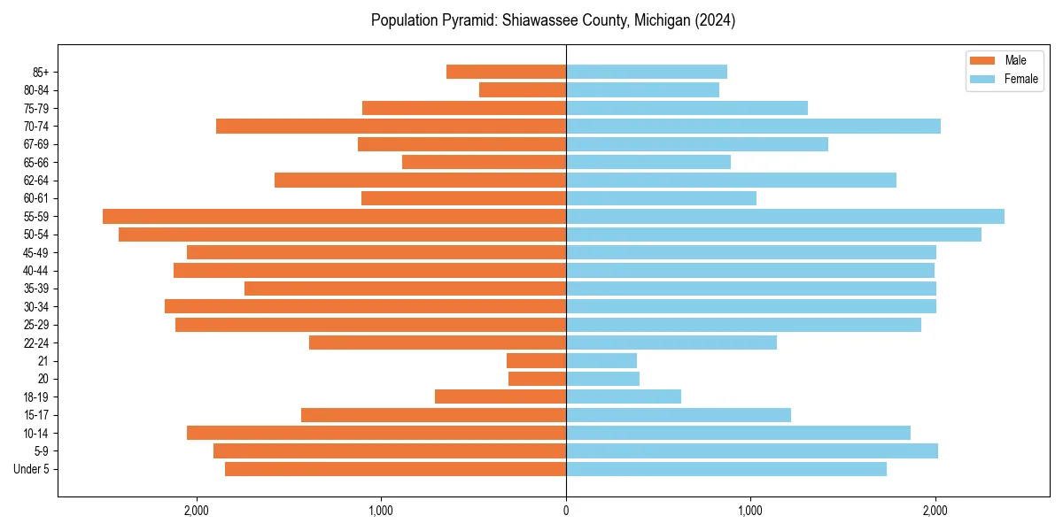Population pyramid for 