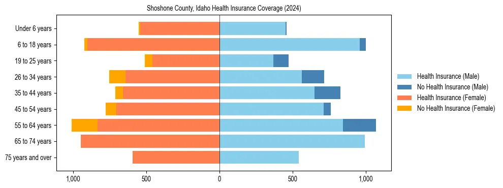 Health insurance pyramid for Shoshone County, Idaho
