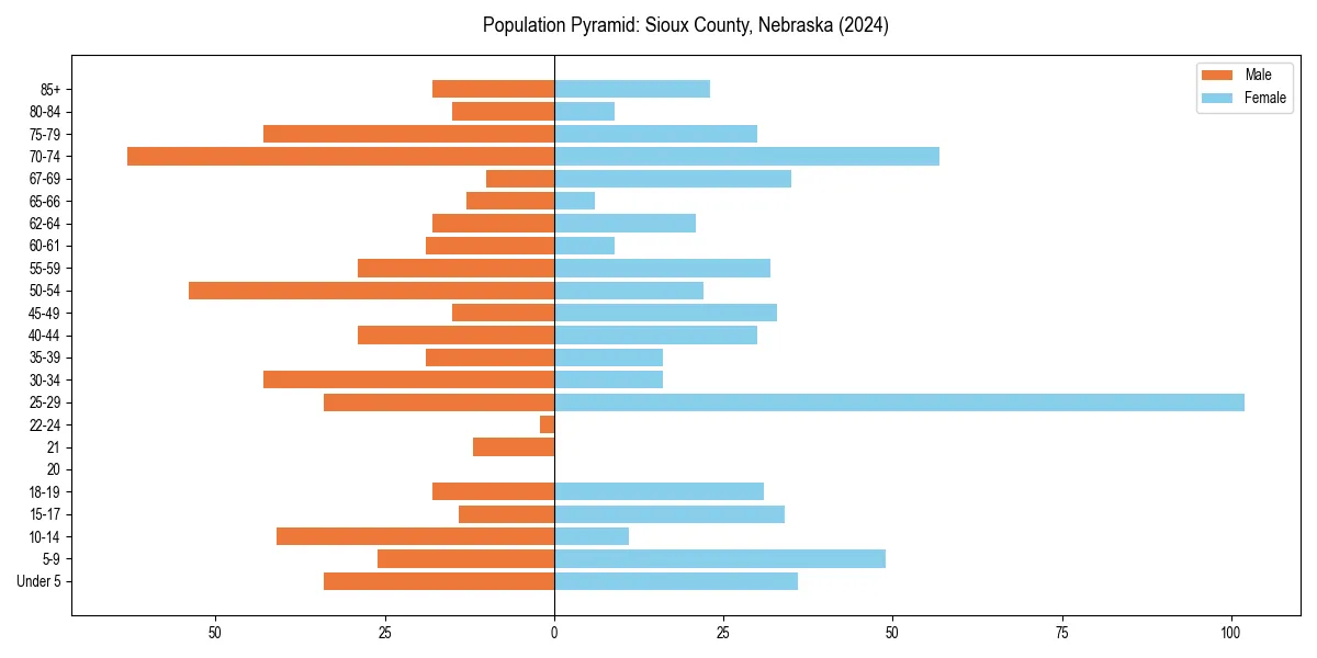 Population pyramid for 