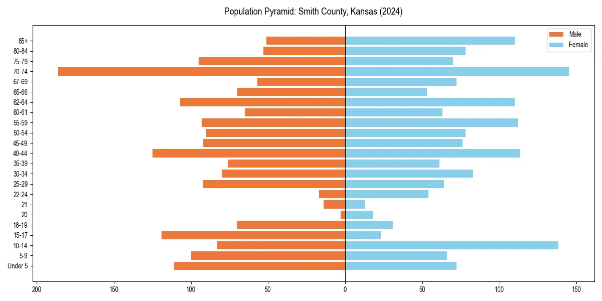 Population pyramid for 