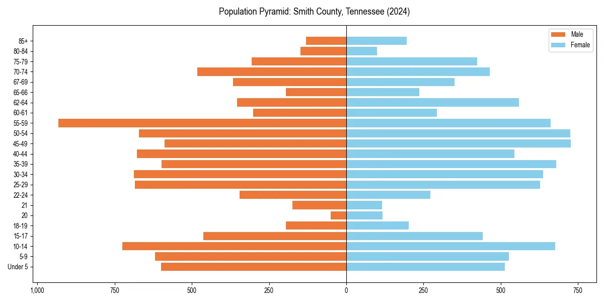 Population pyramid for 