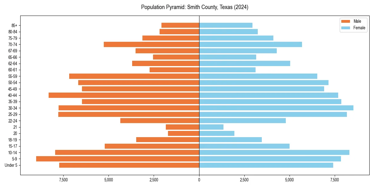 Population pyramid for 
