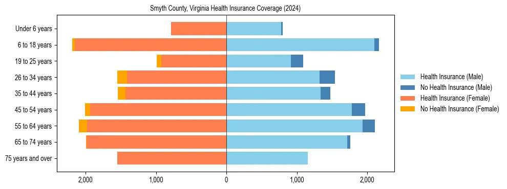 Health insurance pyramid for Smyth County, Virginia