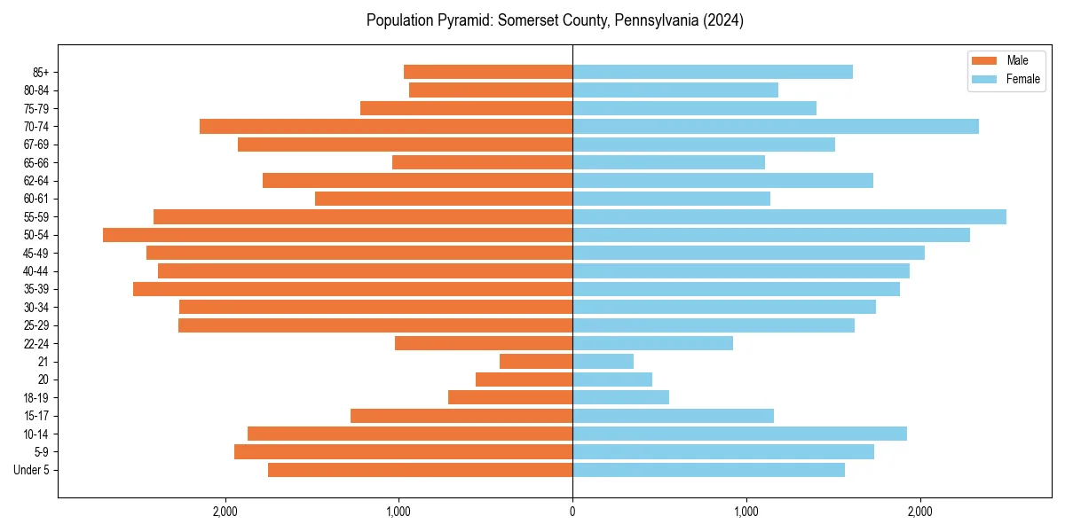 Population pyramid for 