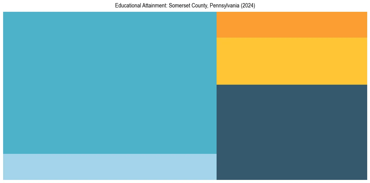 Education Treemap for  in 2024