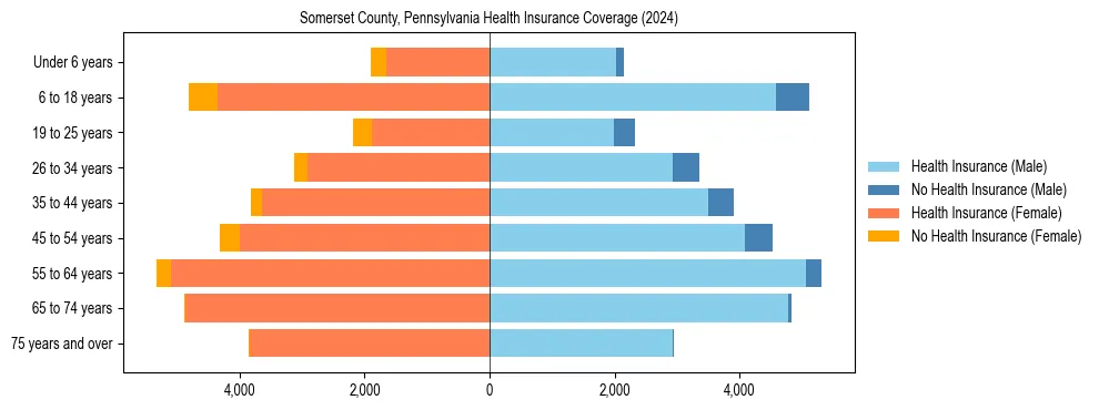 Health insurance pyramid for Somerset County, Pennsylvania