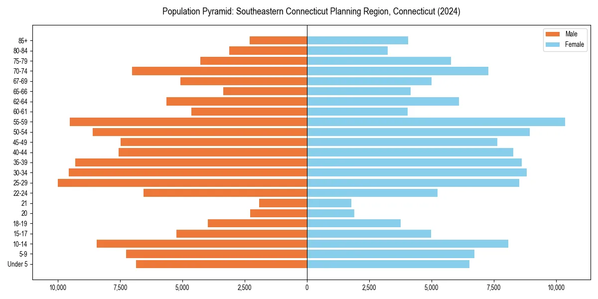 Population pyramid for 