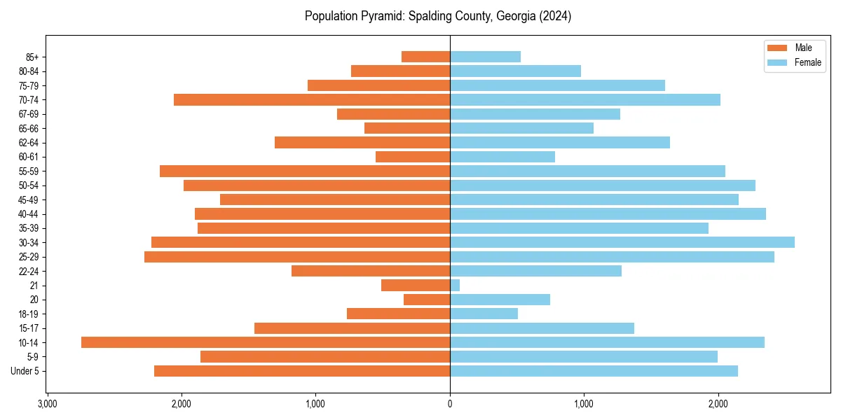 Population pyramid for 