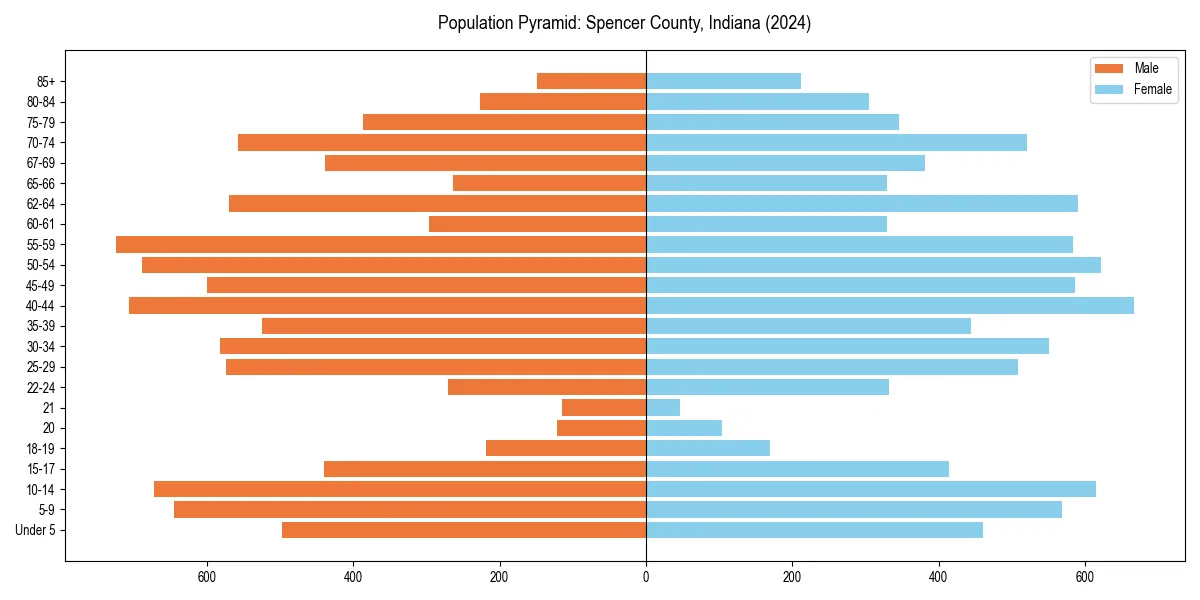 Population pyramid for 