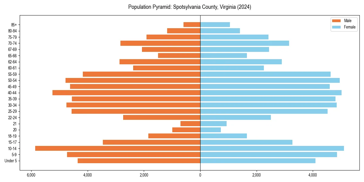 Population pyramid for 