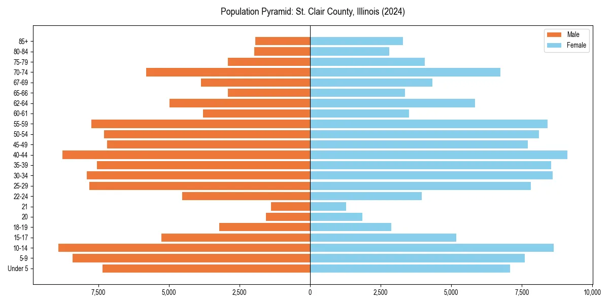 Population pyramid for 