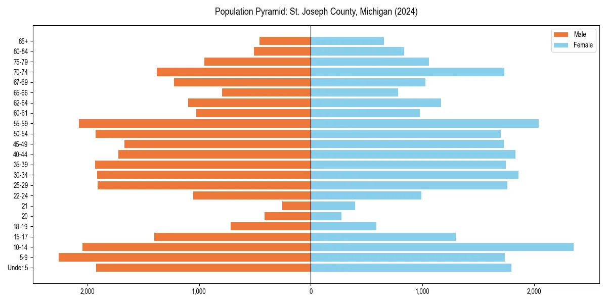 Population pyramid for 