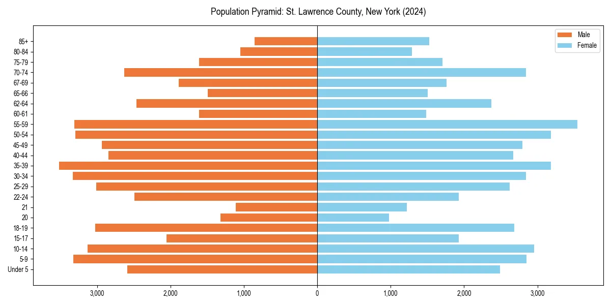 Population pyramid for 