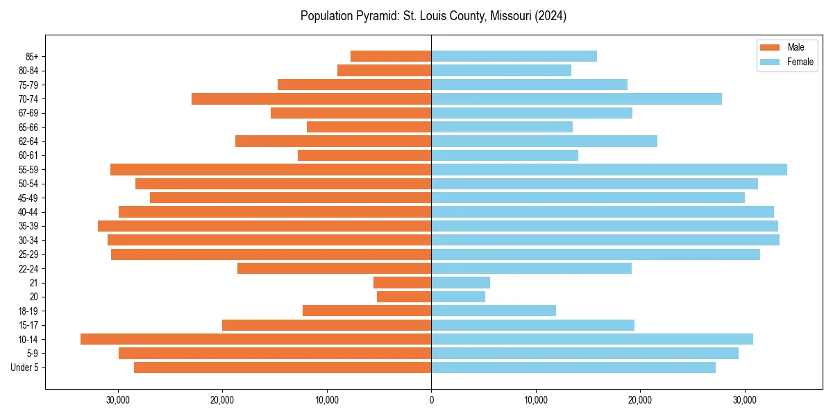 Population pyramid for 
