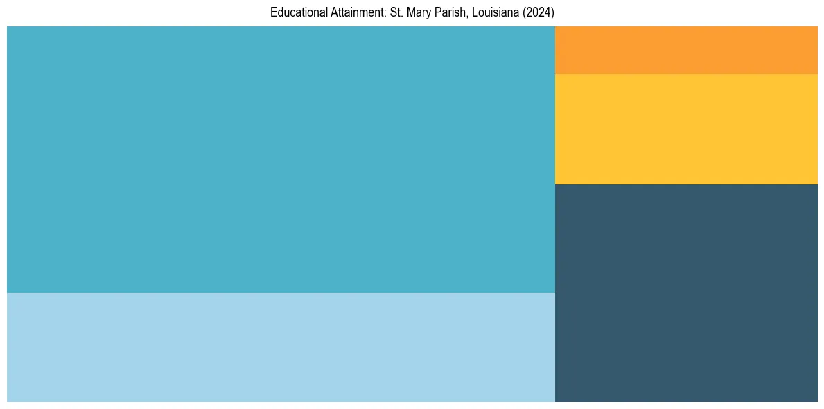 Education Treemap for  in 2024