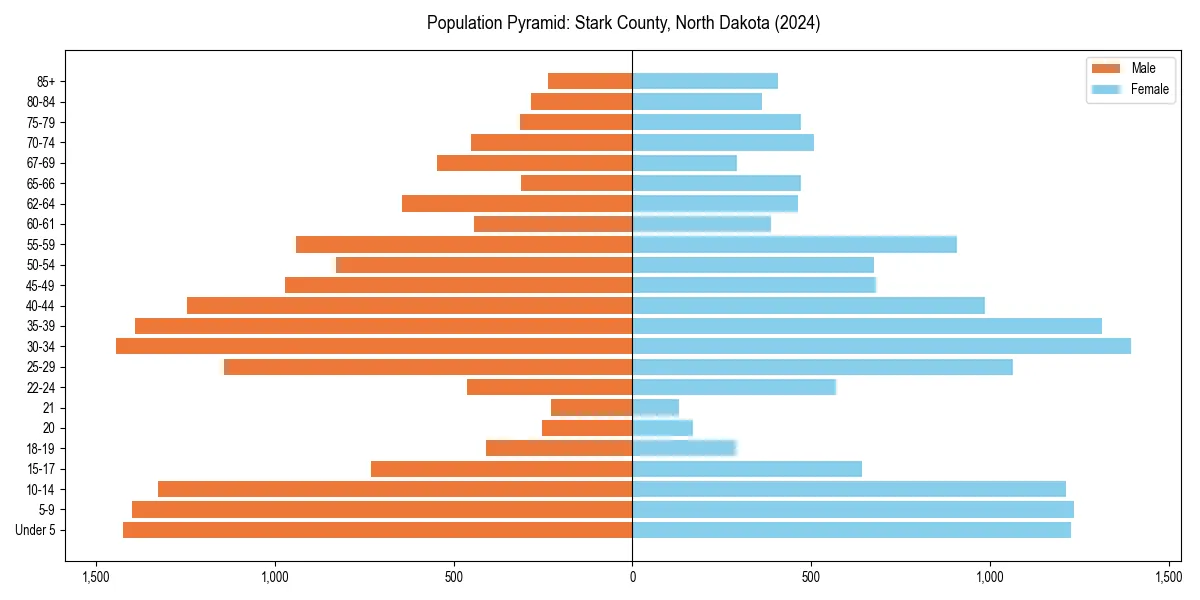 Population pyramid for 