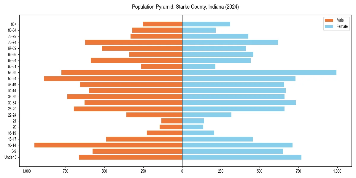 Population pyramid for 