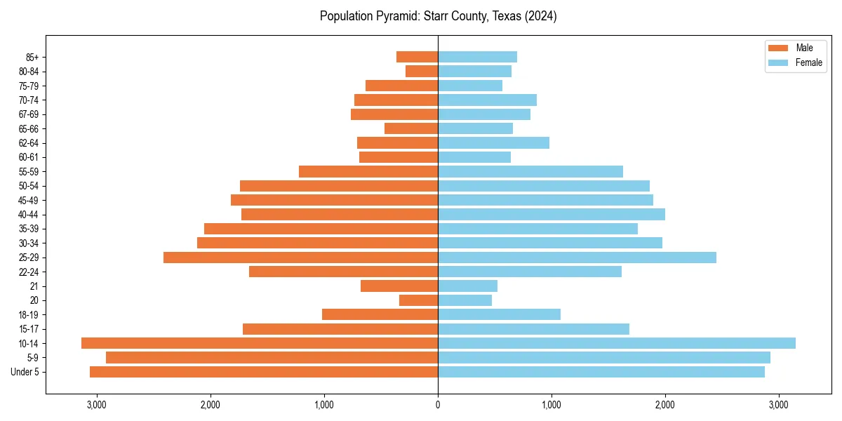 Population pyramid for 