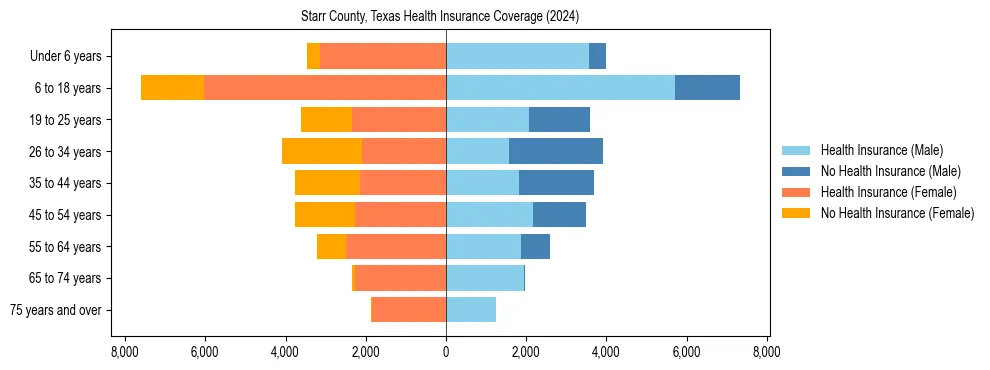 Health insurance pyramid for Starr County, Texas