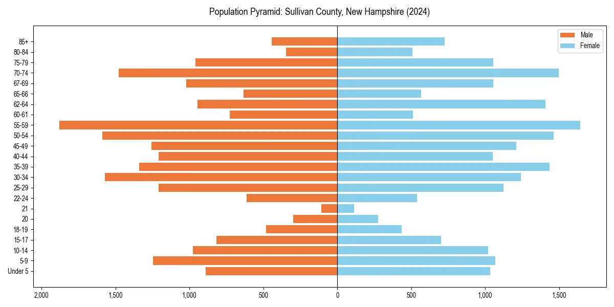 Population pyramid for 