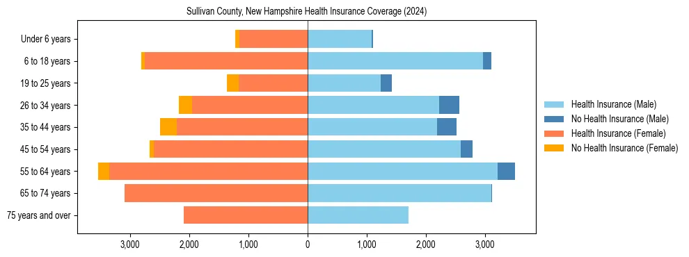Health insurance pyramid for Sullivan County, New Hampshire