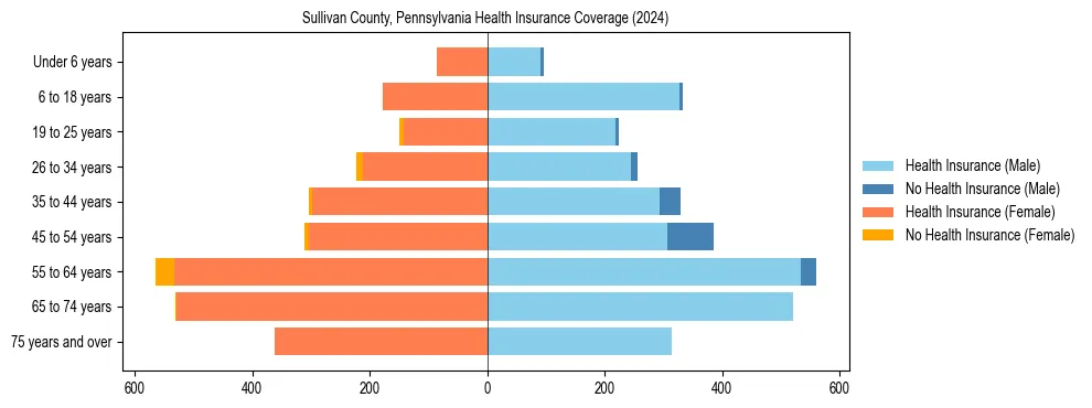 Health insurance pyramid for Sullivan County, Pennsylvania