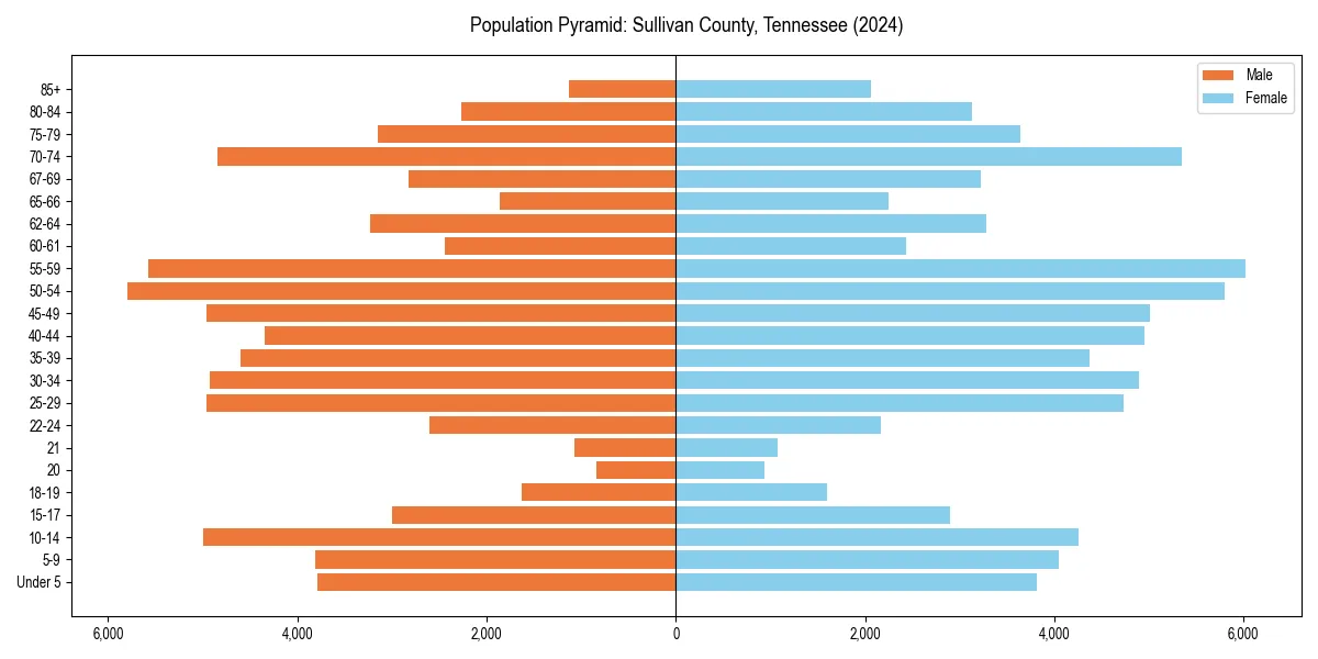 Population pyramid for 