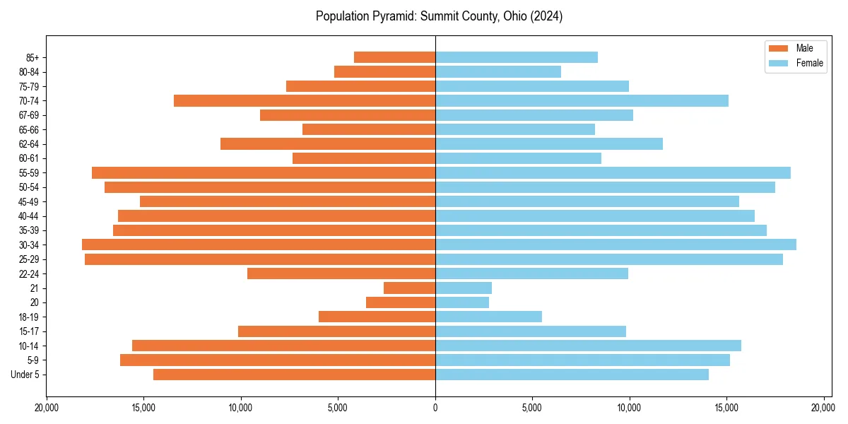 Population pyramid for 
