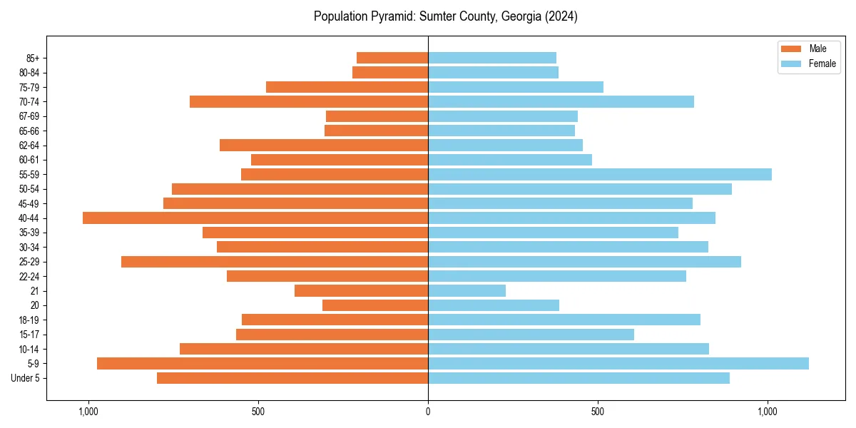 Population pyramid for 