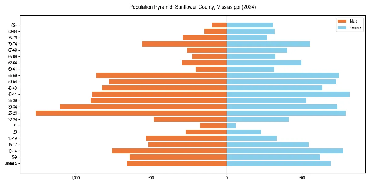 Population pyramid for 