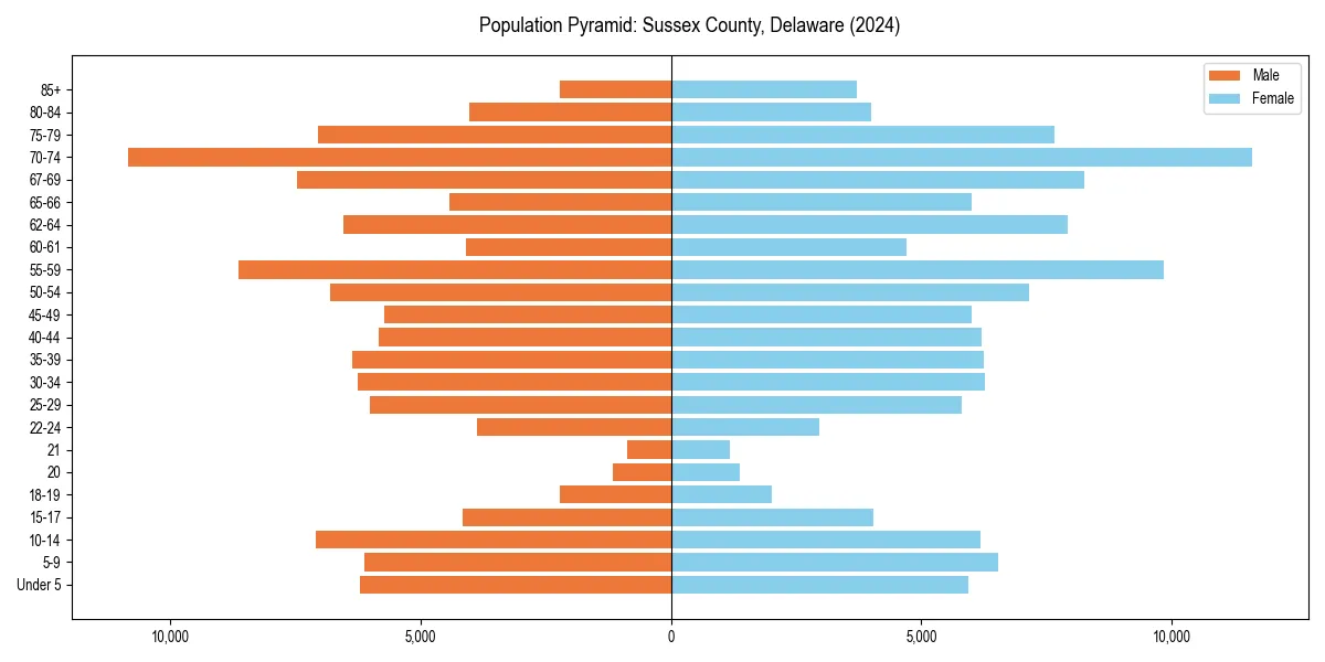 Population pyramid for 