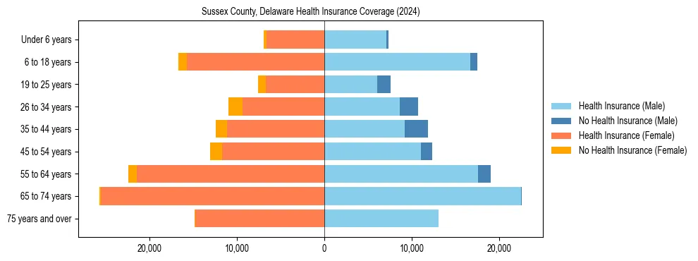 Health insurance pyramid for Sussex County, Delaware