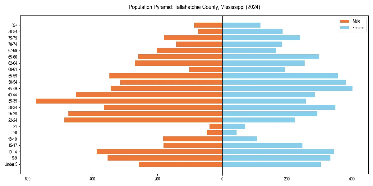 Population pyramid for 
