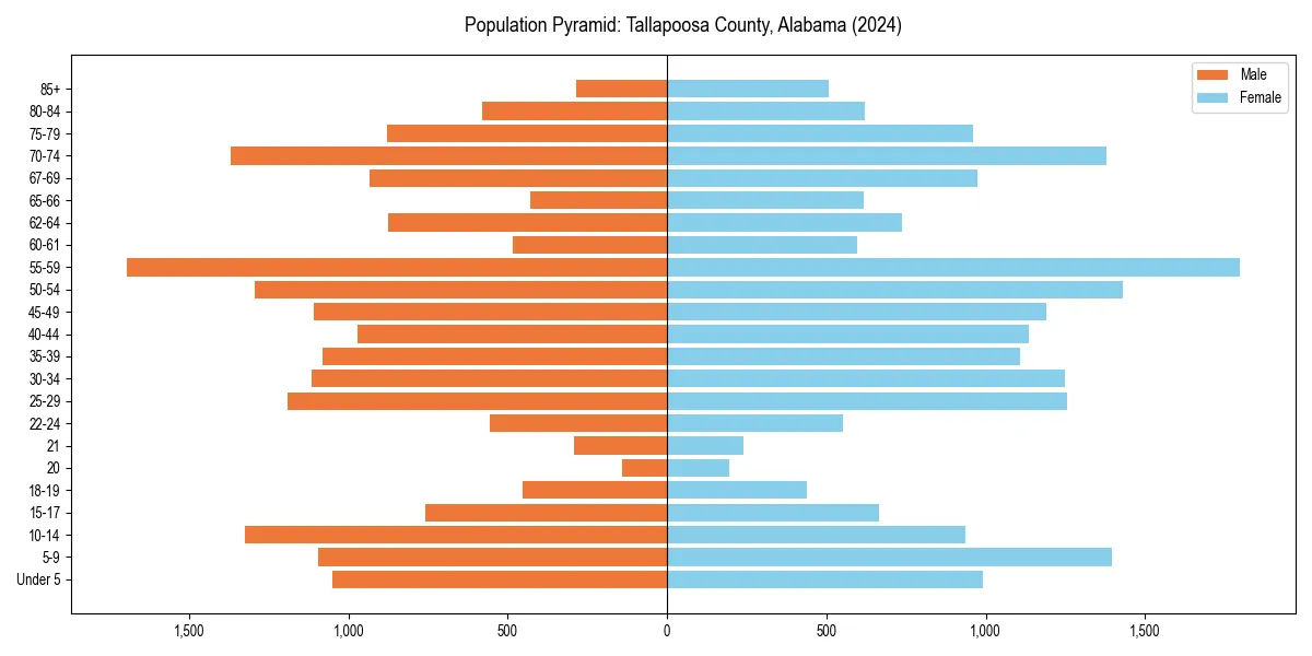 Population pyramid for 