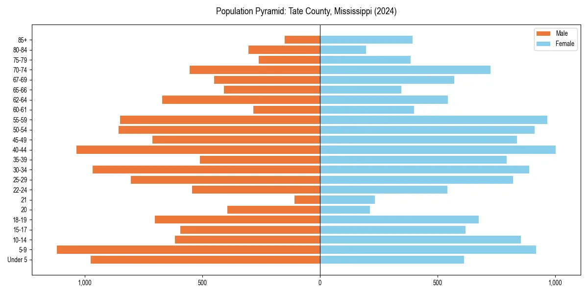 Population pyramid for 